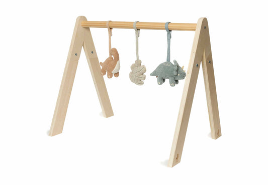 Babygym Toys - Roarsome