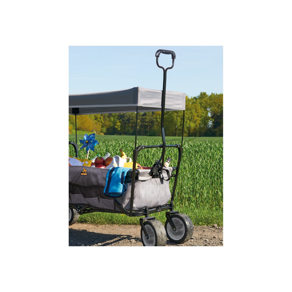 Opvouwbare Bolderkar met Luifel & Draagtas